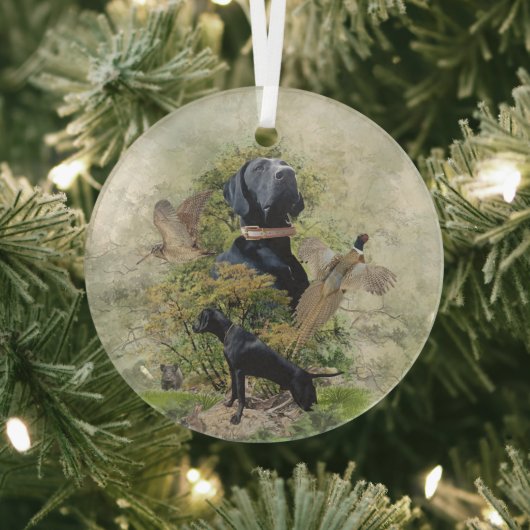 Deutscher Kurzzeiger Ornament Aus Glas (InSitu)