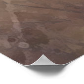 Deutscher Kurzzeiger Poster (Ecke)