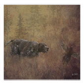 Deutscher Kurzzeiger Poster (Vorderseite)