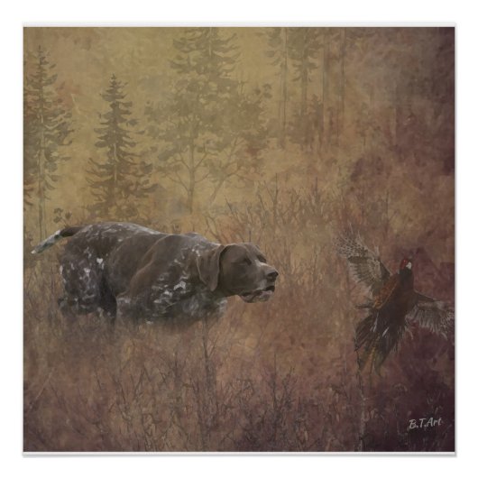 Deutscher Kurzzeiger Poster (Vorderseite)