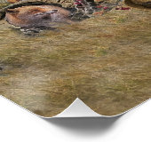 Deutscher Kurzzeiger Poster (Ecke)