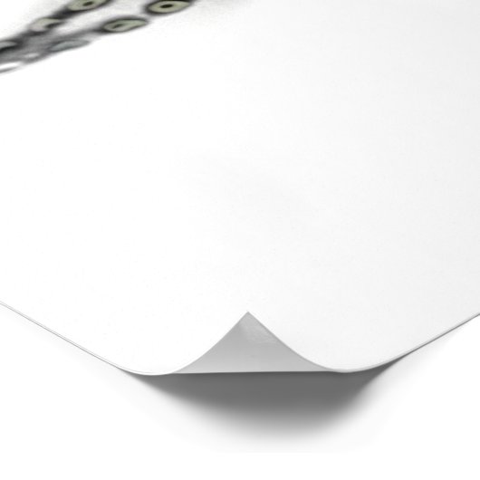 Deutscher Kurzzeiger Poster (Ecke)