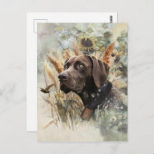 Deutscher Kurzzeiger Postkarte (Vorne/Hinten)