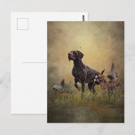 Deutscher Kurzzeiger Postkarte (Vorne/Hinten)