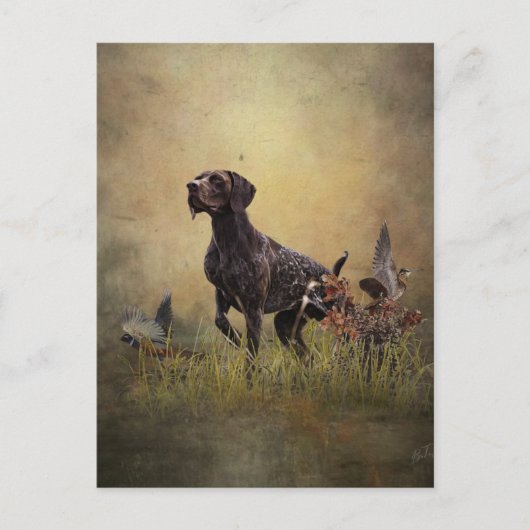 Deutscher Kurzzeiger Postkarte (Vorderseite)