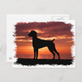 Deutscher Kurzzeiger Postkarte (Vorne/Hinten)