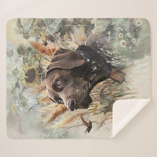 Deutscher Kurzzeiger Sherpadecke (Vorderseite (Horizontal))