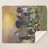 Deutscher Kurzzeiger Sherpadecke (Vorderseite (Horizontal))