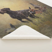 Deutscher Kurzzeiger Sherpadecke (3/4)