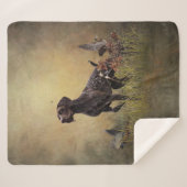 Deutscher Kurzzeiger Sherpadecke (Vorderseite (Horizontal))