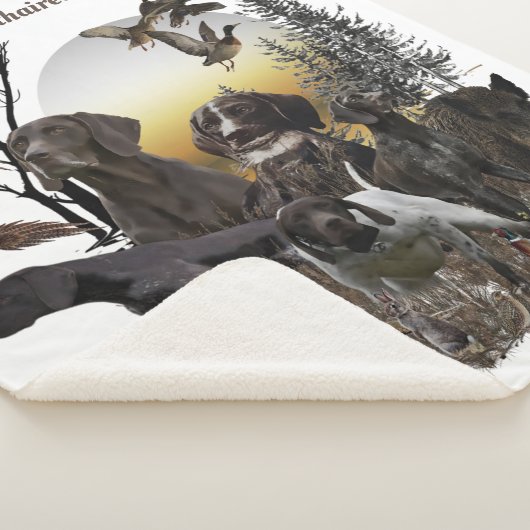 Deutscher Kurzzeiger Sherpadecke (3/4)