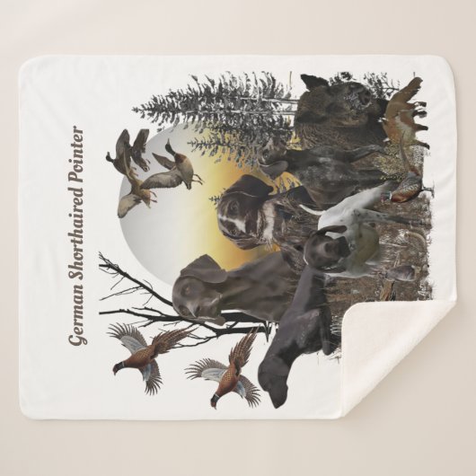 Deutscher Kurzzeiger Sherpadecke (Vorderseite (Horizontal))