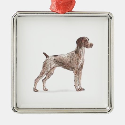 Deutscher Kurzzeiger Silbernes Ornament (Vorne)