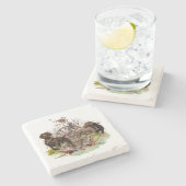 Deutscher Kurzzeiger Steinuntersetzer (Seitenansicht)