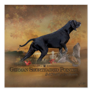 Deutscher Kurzzeiger, ZACHAR-Band Poster