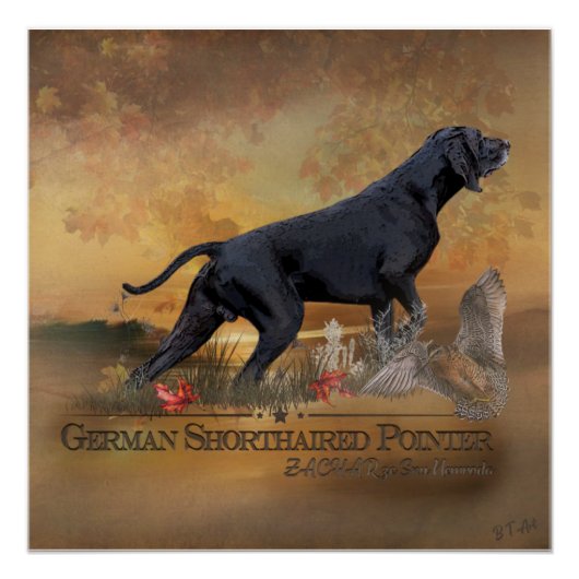 Deutscher Kurzzeiger, ZACHAR-Band Poster (Vorderseite)