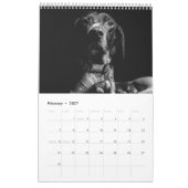 Deutscher Kurzzeitpointer 2024 Kalender-APS-Hund Kalender (Feb 2027)