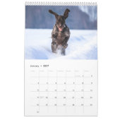 Deutscher Kurzzeitpointer 2024 Kalender-APS-Hund Kalender (Jan 2027)