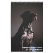 Deutscher Kurzzeitpointer 2024 Kalender-APS-Hund Kalender (Titelbild)