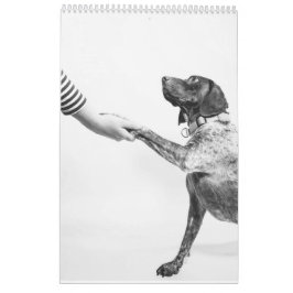 Deutscher Kurzzeitpointer 2024 Kalender-APS-Hund Kalender