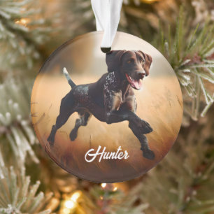 Deutscher Kurzzeitpointer läuft Ornament