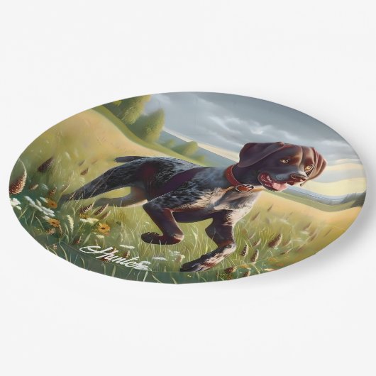 Deutscher Kurzzeitpointer läuft Pappteller (Schrägansicht)