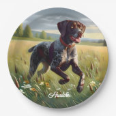 Deutscher Kurzzeitpointer läuft Pappteller (Vorderseite)