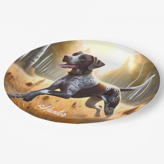 Deutscher Kurzzeitpointer läuft Pappteller (Schrägansicht)