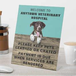 Deutscher Kurzzeitpointer Welppy Veterinary Sockelschild