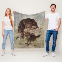 Deutscher Langhaariger Pointer