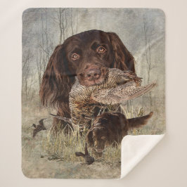 Deutscher Langhaariger Pointer Sherpadecke