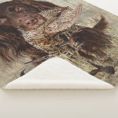 Deutscher Langhaariger Pointer Sherpadecke (3/4)