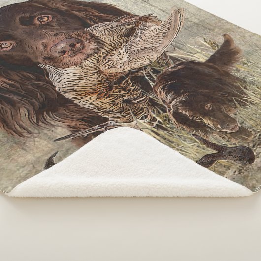 Deutscher Langhaariger Pointer Sherpadecke (3/4)