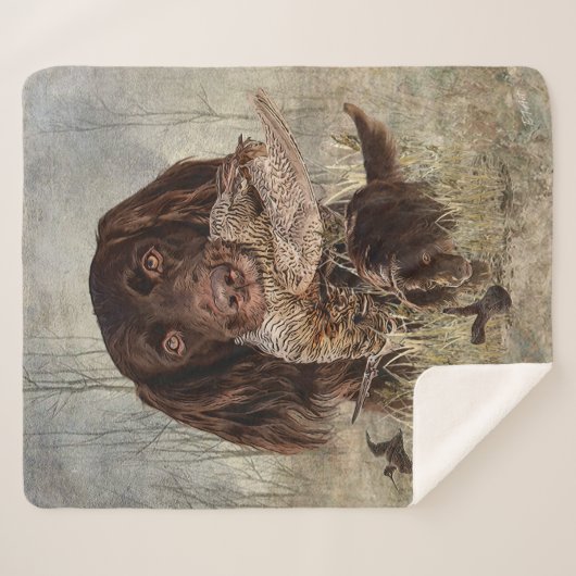 Deutscher Langhaariger Pointer Sherpadecke (Vorderseite (Horizontal))