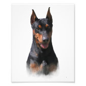 Deutscher Pinscher Fotodruck (Vorne)