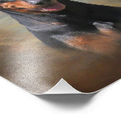 Deutscher Pinscher Fotodruck (Ecke)