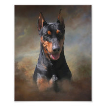 Deutscher Pinscher