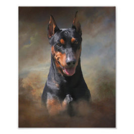 Deutscher Pinscher Fotodruck