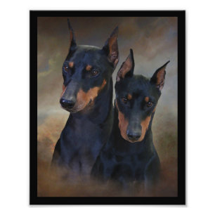 Deutscher Pinscher Fotodruck