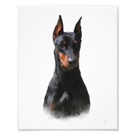Deutscher Pinscher Fotodruck