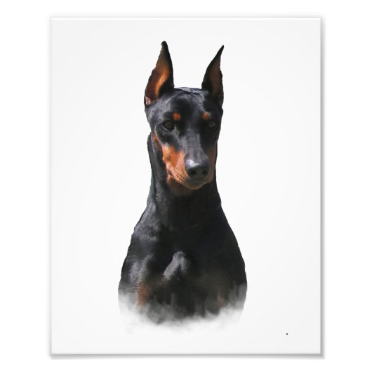 Deutscher Pinscher Fotodruck (Vorne)