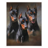 Deutscher Pinscher Fotodruck (Vorne)