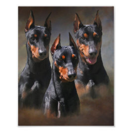 Deutscher Pinscher Fotodruck