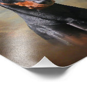 Deutscher Pinscher Fotodruck (Ecke)