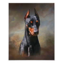 Deutscher Pinscher Fotodruck