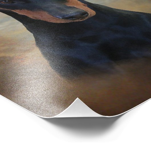 Deutscher Pinscher Fotodruck (Ecke)