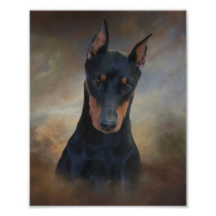 Deutscher Pinscher Fotodruck