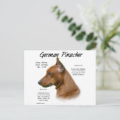 Deutscher Pinscher Geschichtsentwurf Postkarte (Stehend Vorderseite)