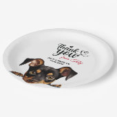 Deutscher Pinscher Pappteller (Schrägansicht)