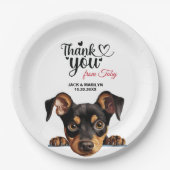 Deutscher Pinscher Pappteller (Vorderseite)